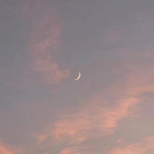 东营监控摄像机厂家用小兔营销导航
