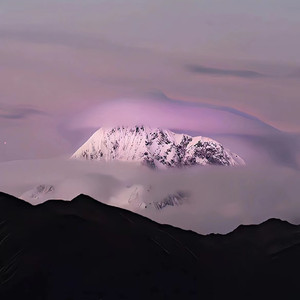 东营监控摄像机厂家用小兔营销导航
