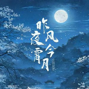 东营监控摄像机厂家用小兔营销导航
